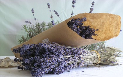 Những cách khử mùi hôi, ẩm mốc phòng máy lạnh hiệu quả nhất