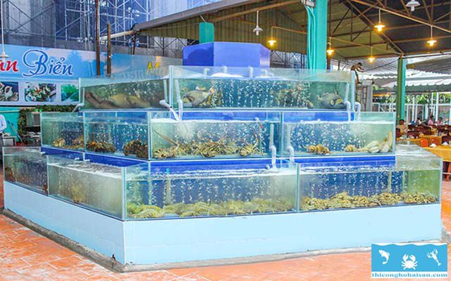 Sửa Chữa Máy làm Lạnh Hồ Hải Sản