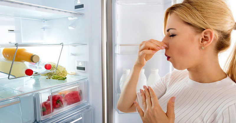Nguyên nhân và cách khắc phục mùi hôi tủ lạnh