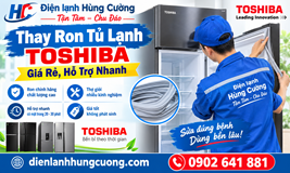 Thay Ron Tủ Lạnh Toshiba Giá Rẻ, Tận Nhà – Xử Lý Nhanh