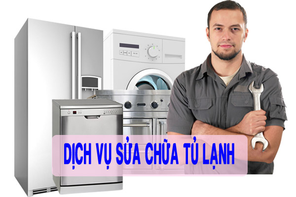 dich-vu-sua-tu-lanh-di-an.jpg